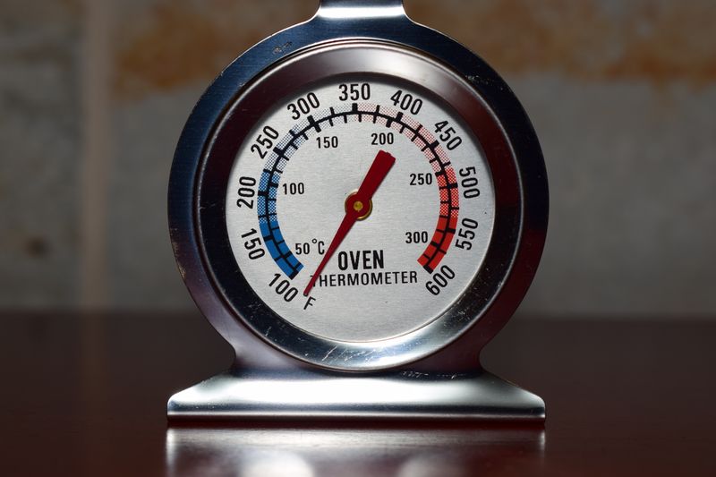 Food thermometer checking temperature